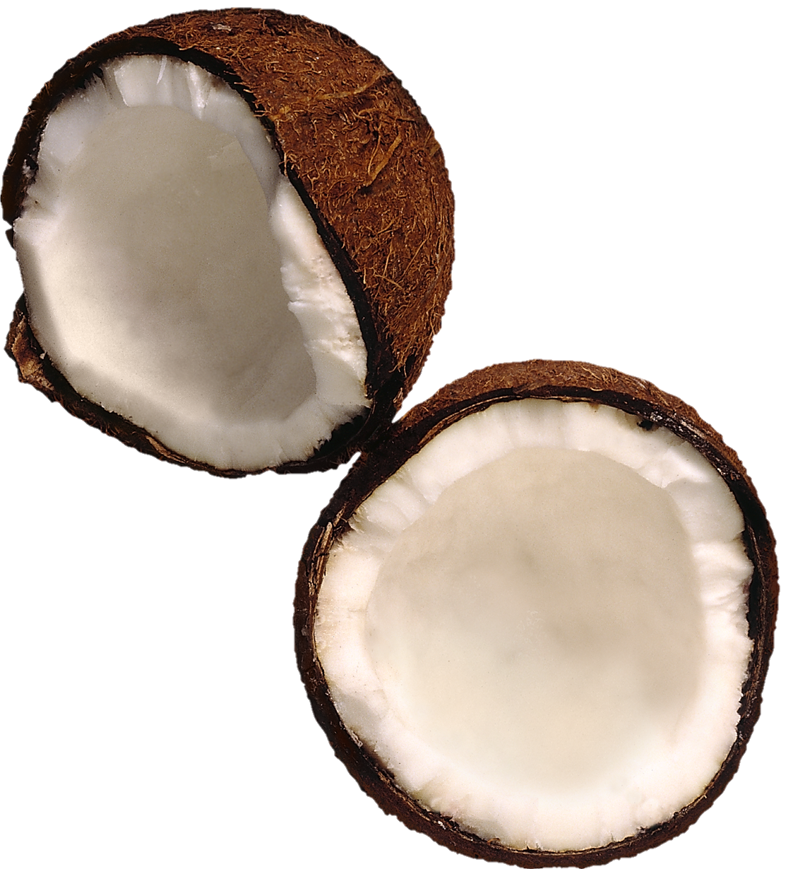 Coconut-25
