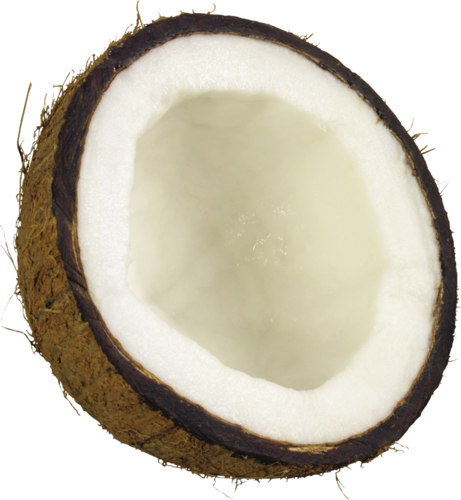 Half coconut Png