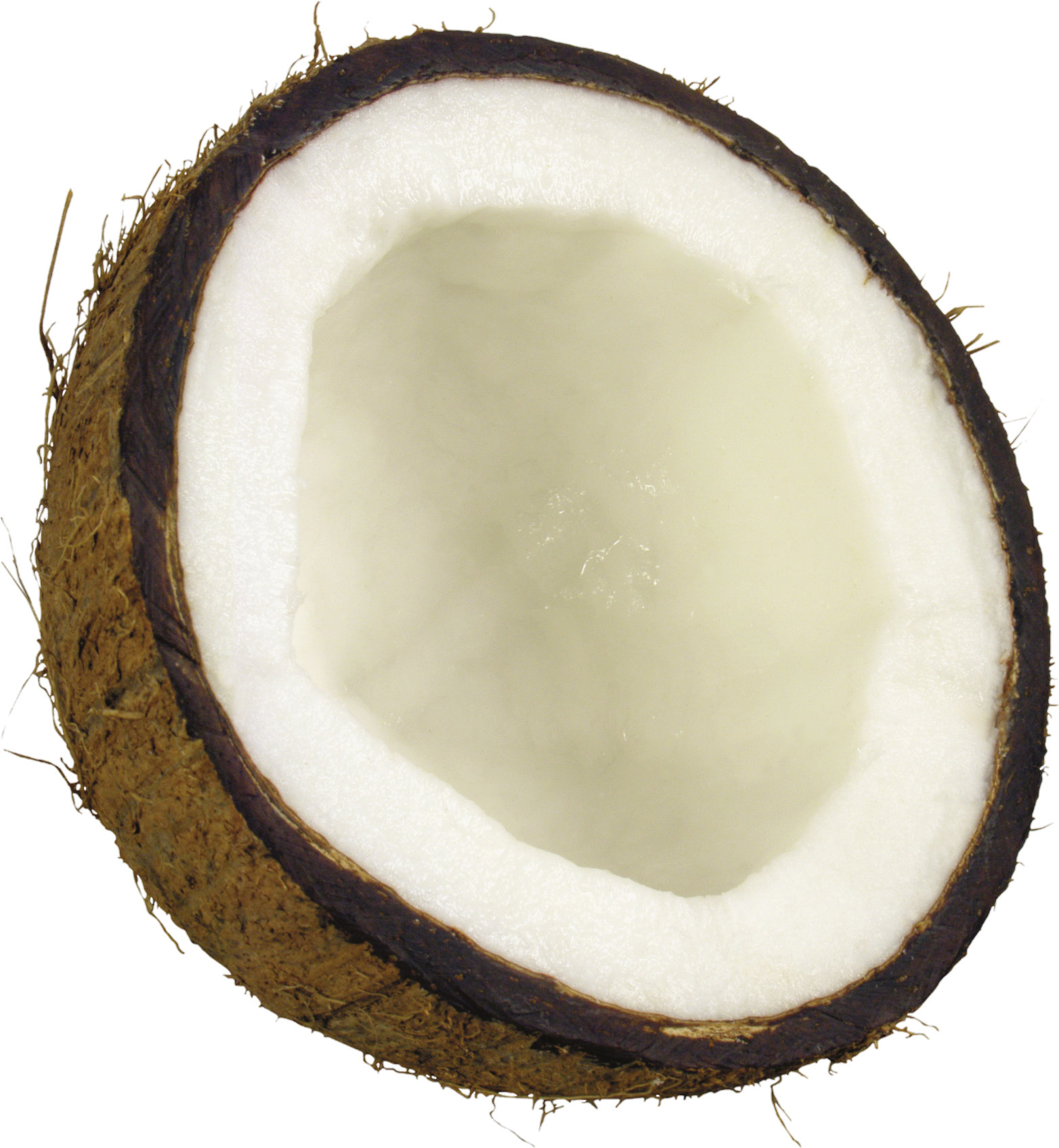 Coconut-3