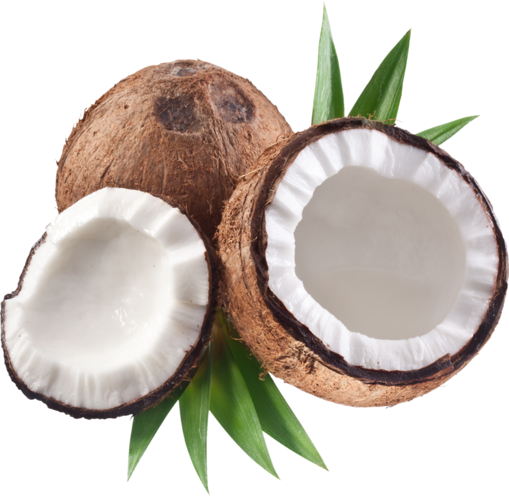 high resolution coconut Png