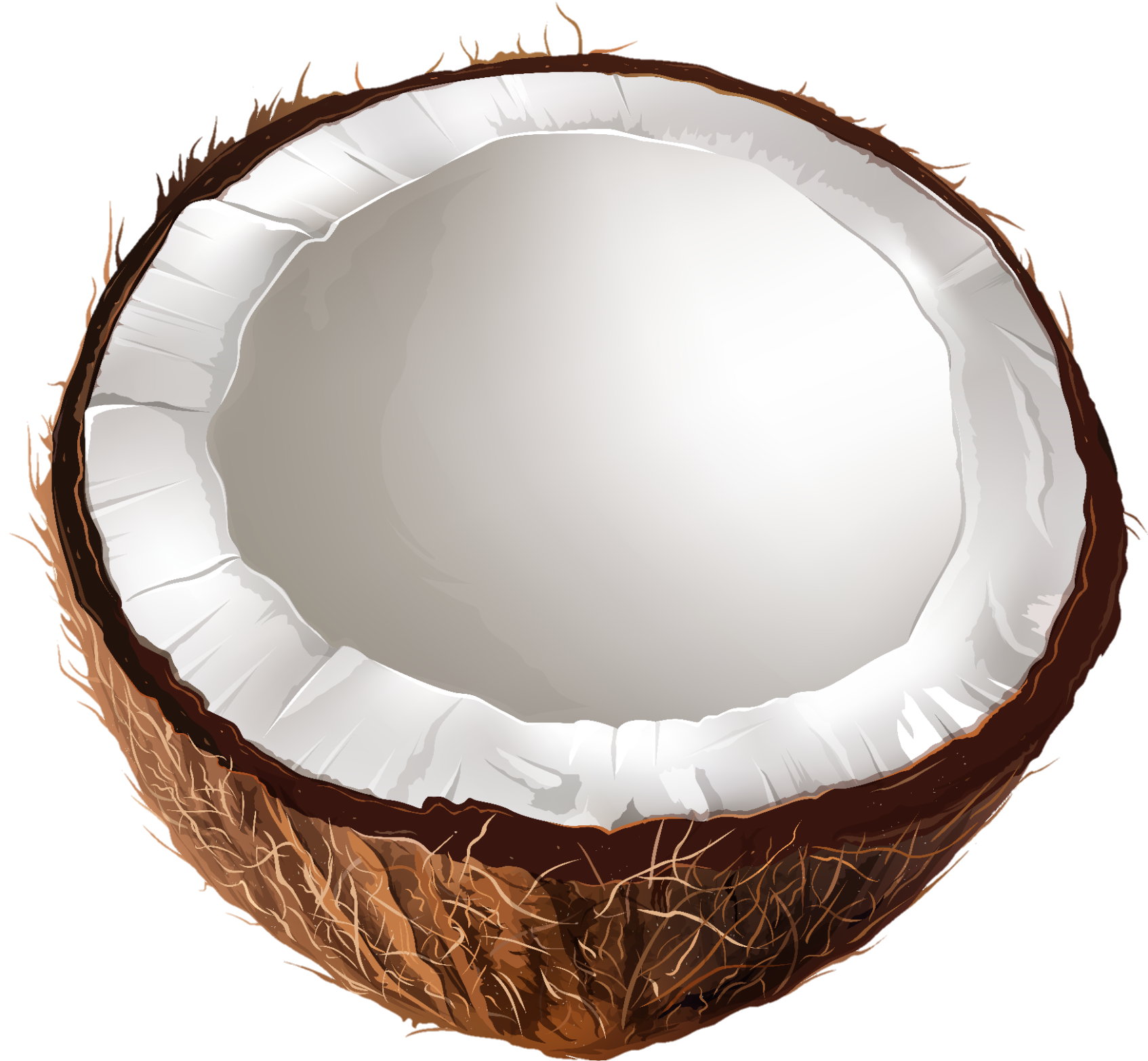 Coconut-5
