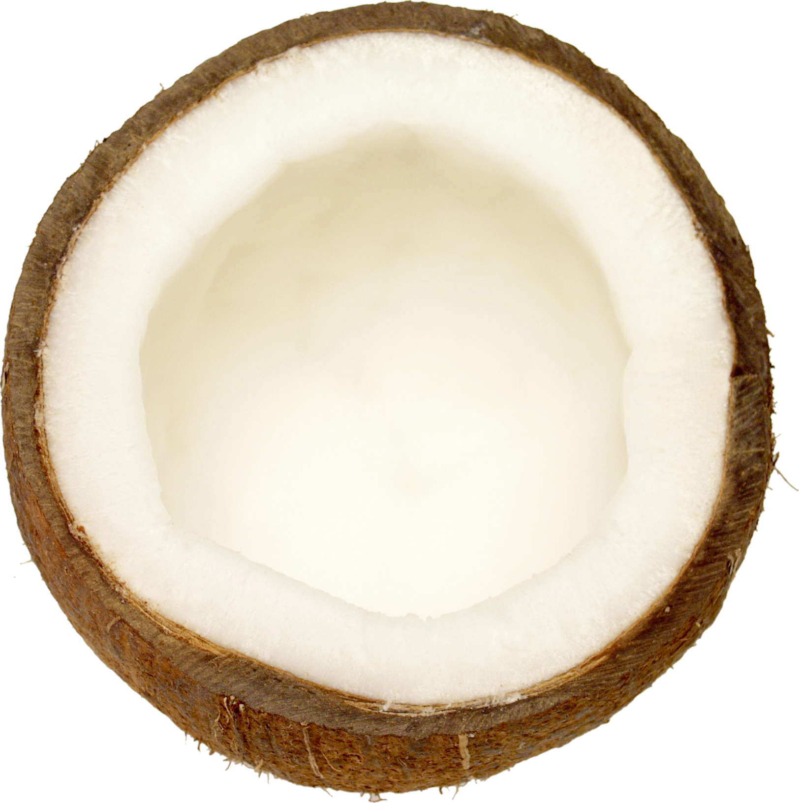 Coconut-7-1
