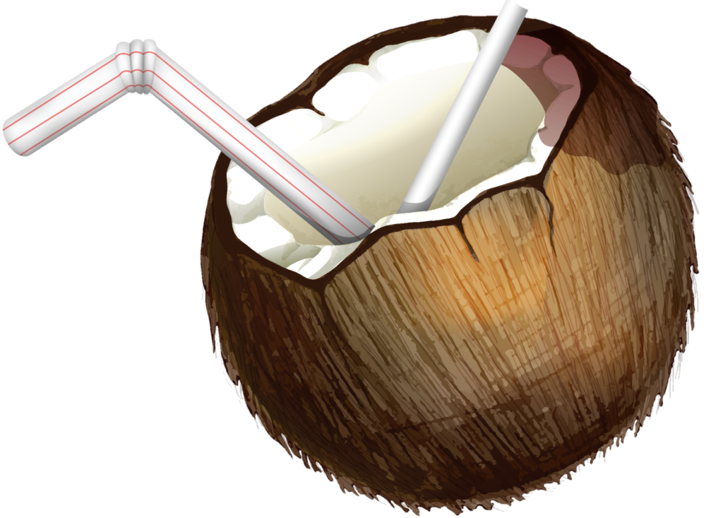 coconut water Png