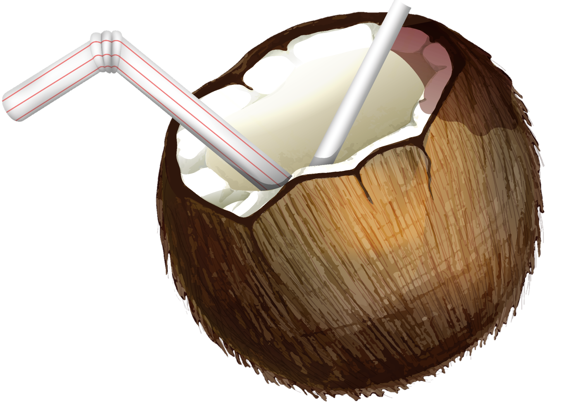 Coconut-8