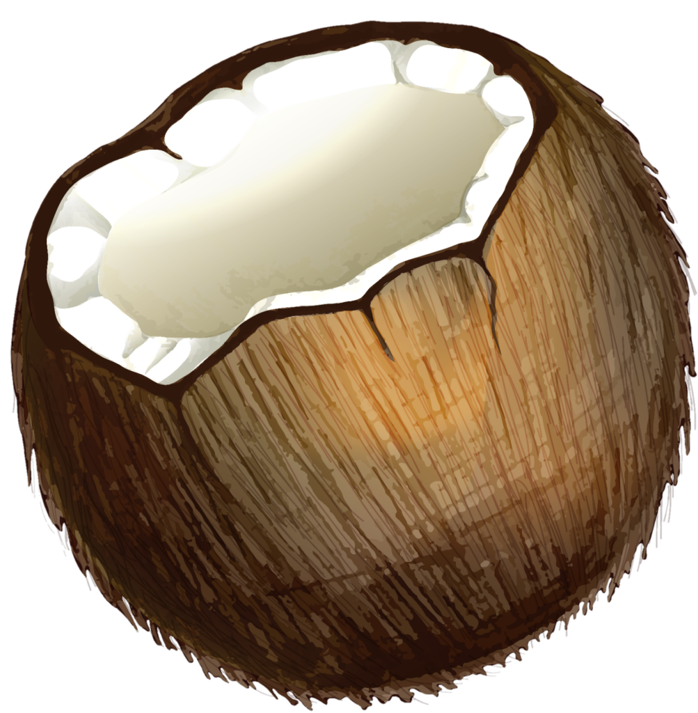 Broken coconut Png