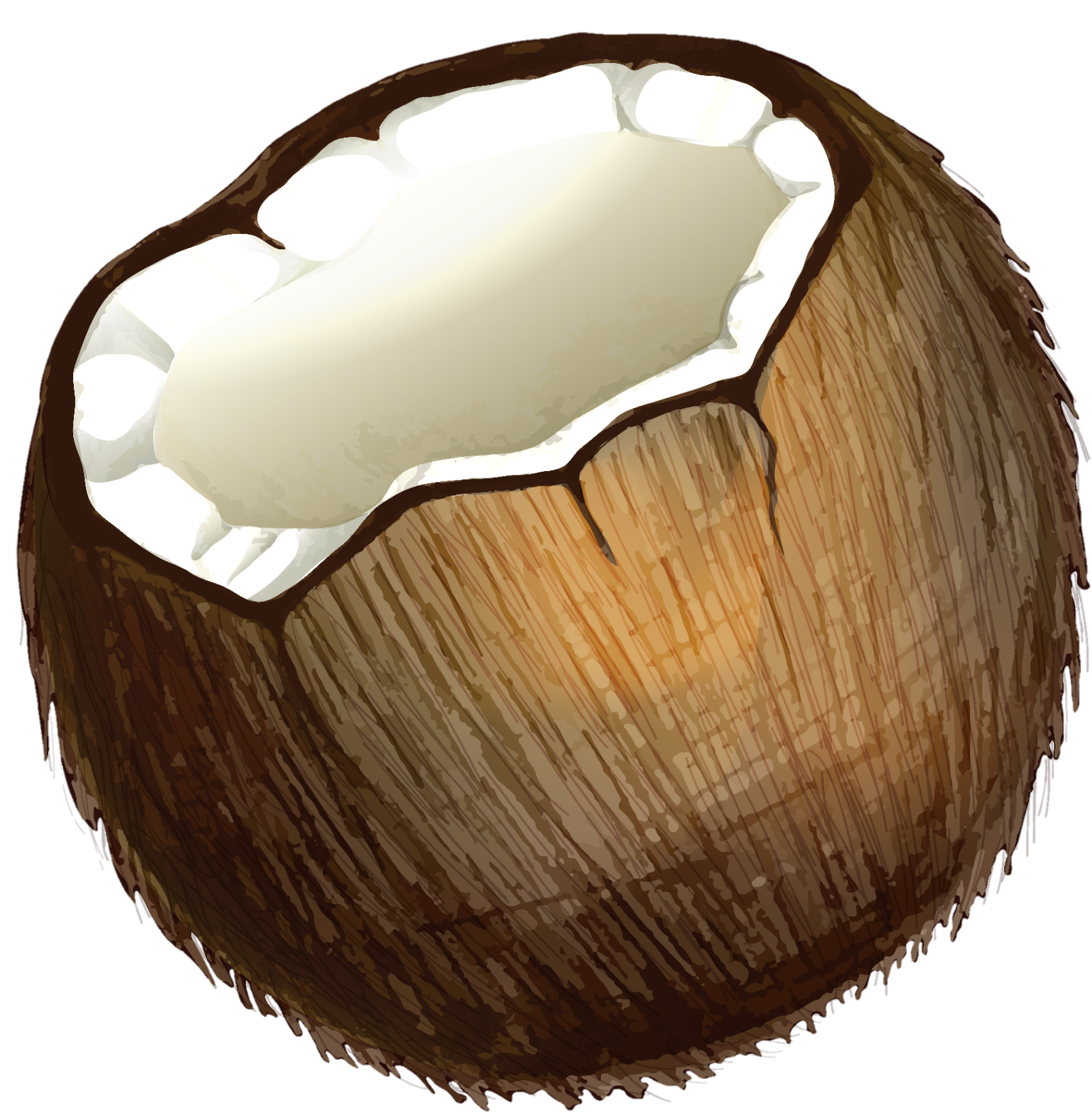 Coconut-9