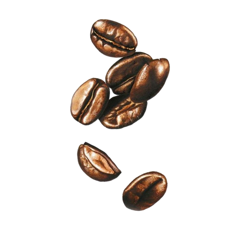 Aesthetic Coffee Beans PNG