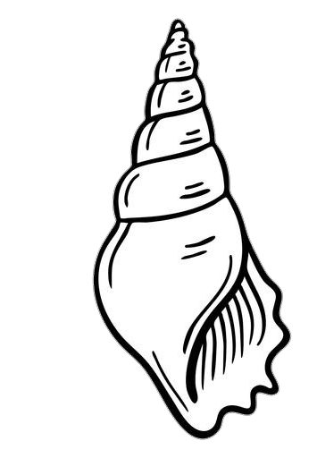 Conch Sell vector Png