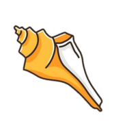 Conch Png Image