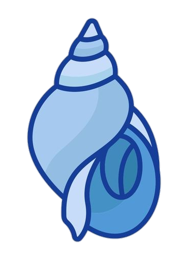 Blue Conch Shell vector Png