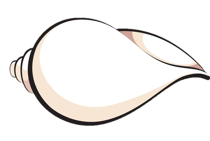 White Shankh Conch vector Png