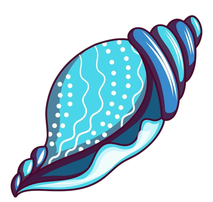 Blue Conch Shell Png