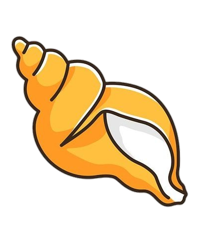 Orange Conch Shell Png Image