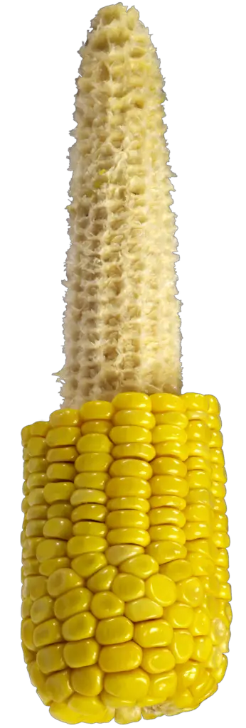 Transparent Corn Png