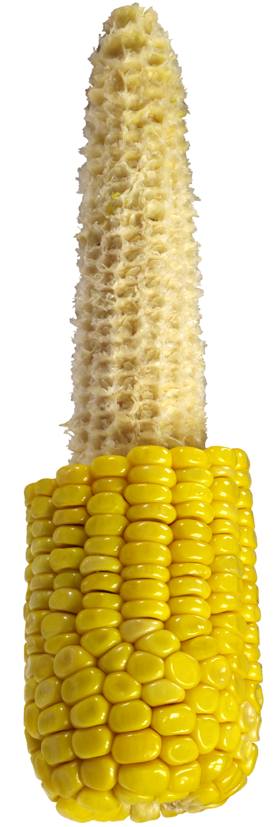 Corn-1