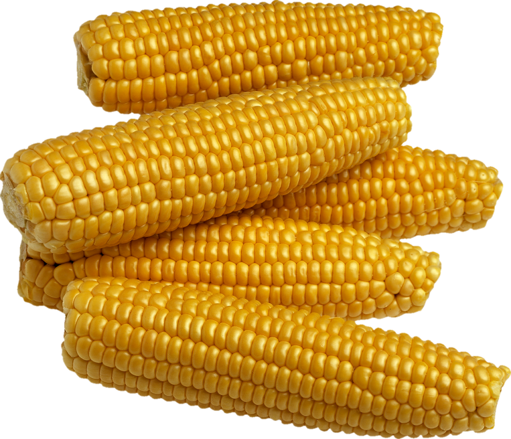 High Resolution Corn Png