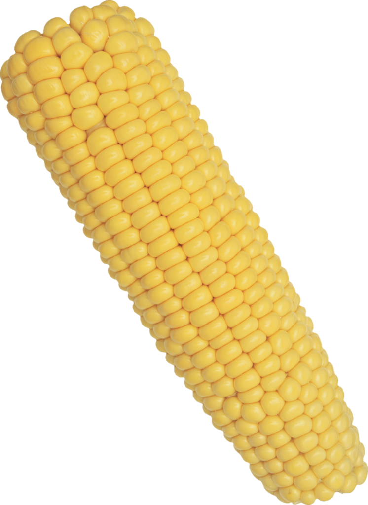 Yellow Corn Png