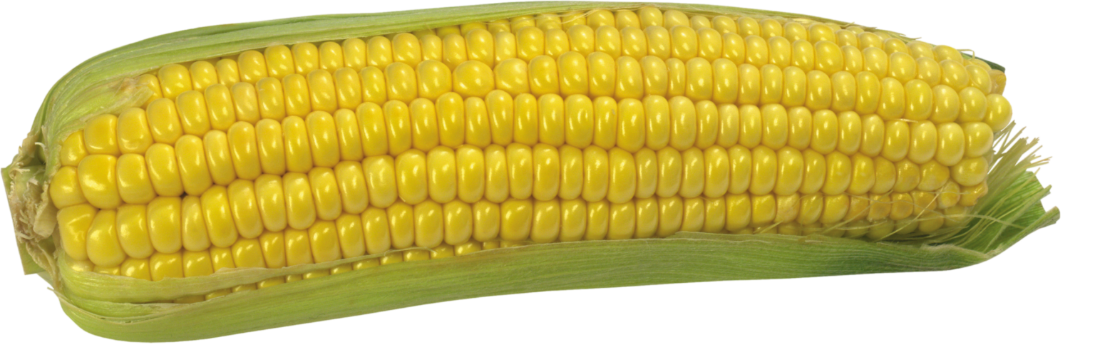 Corn PNG Transparent Images Free Download - Pngfre