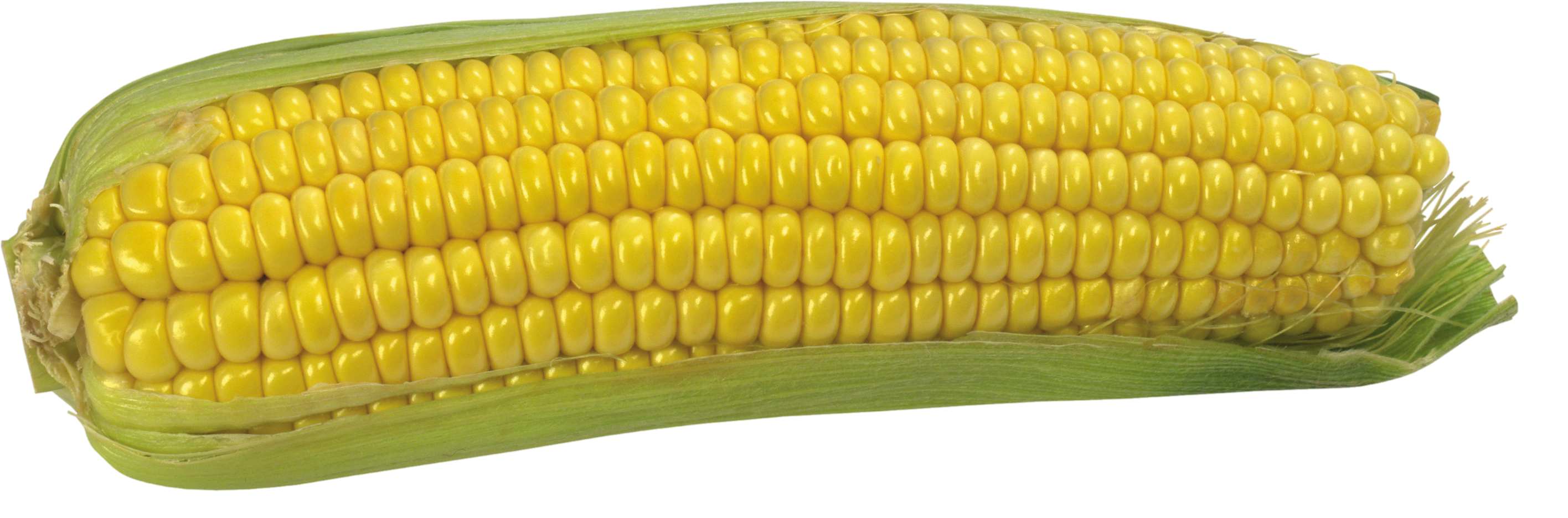 Corn-15