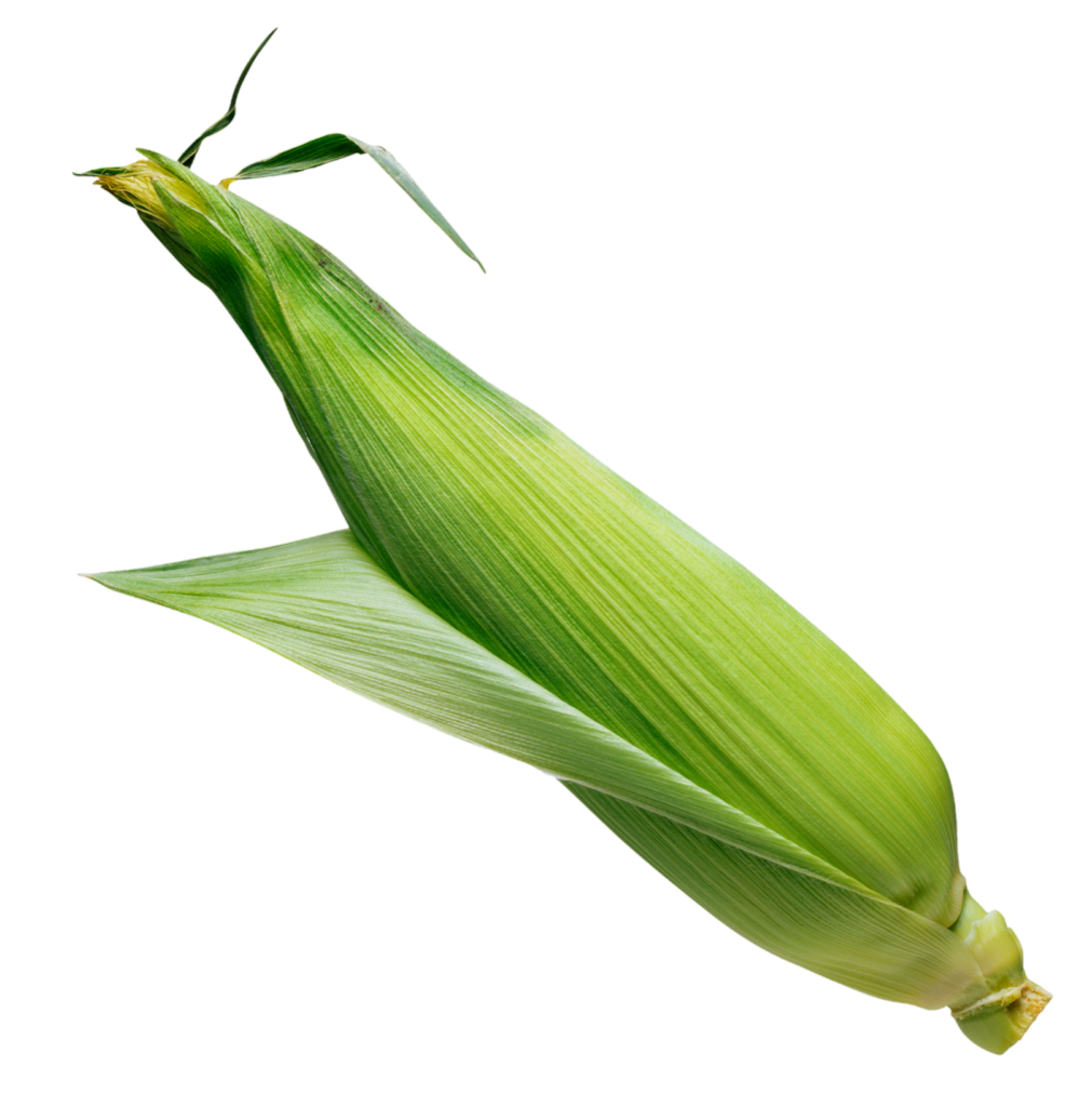 Green Corn Png