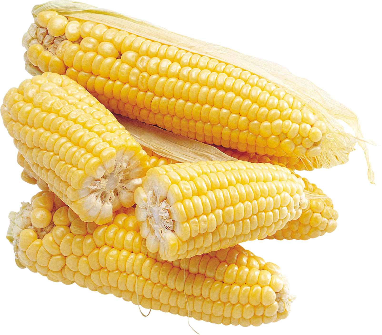 Corn-2