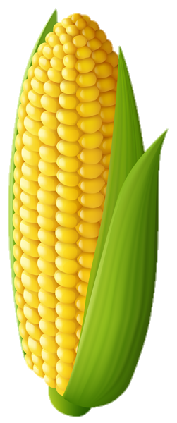 Animated Corn Png