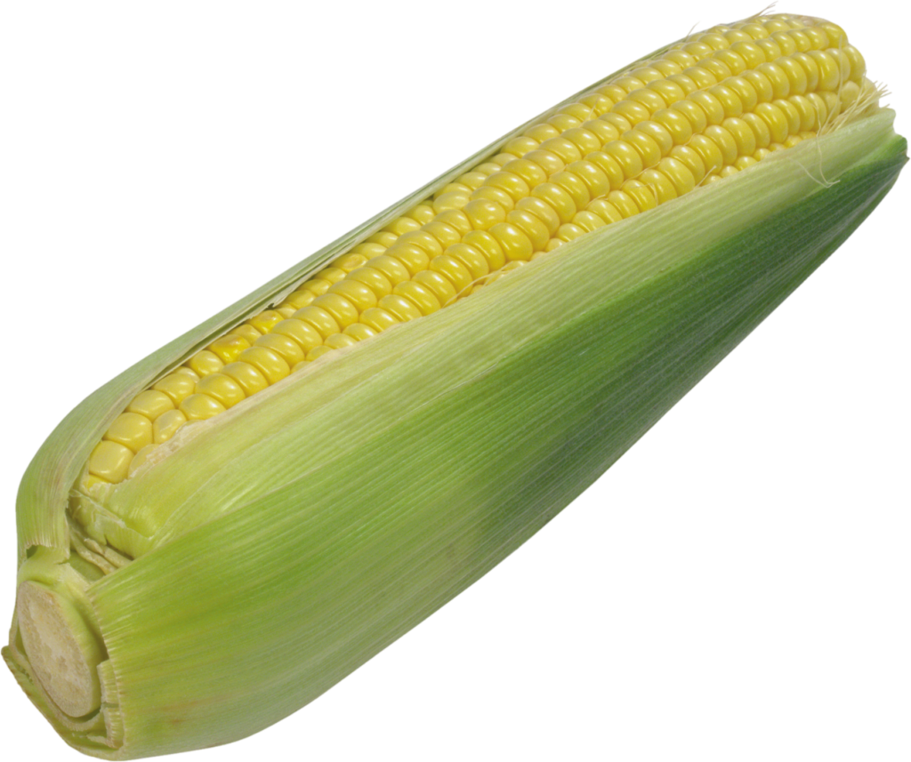 Transparent Corn Png