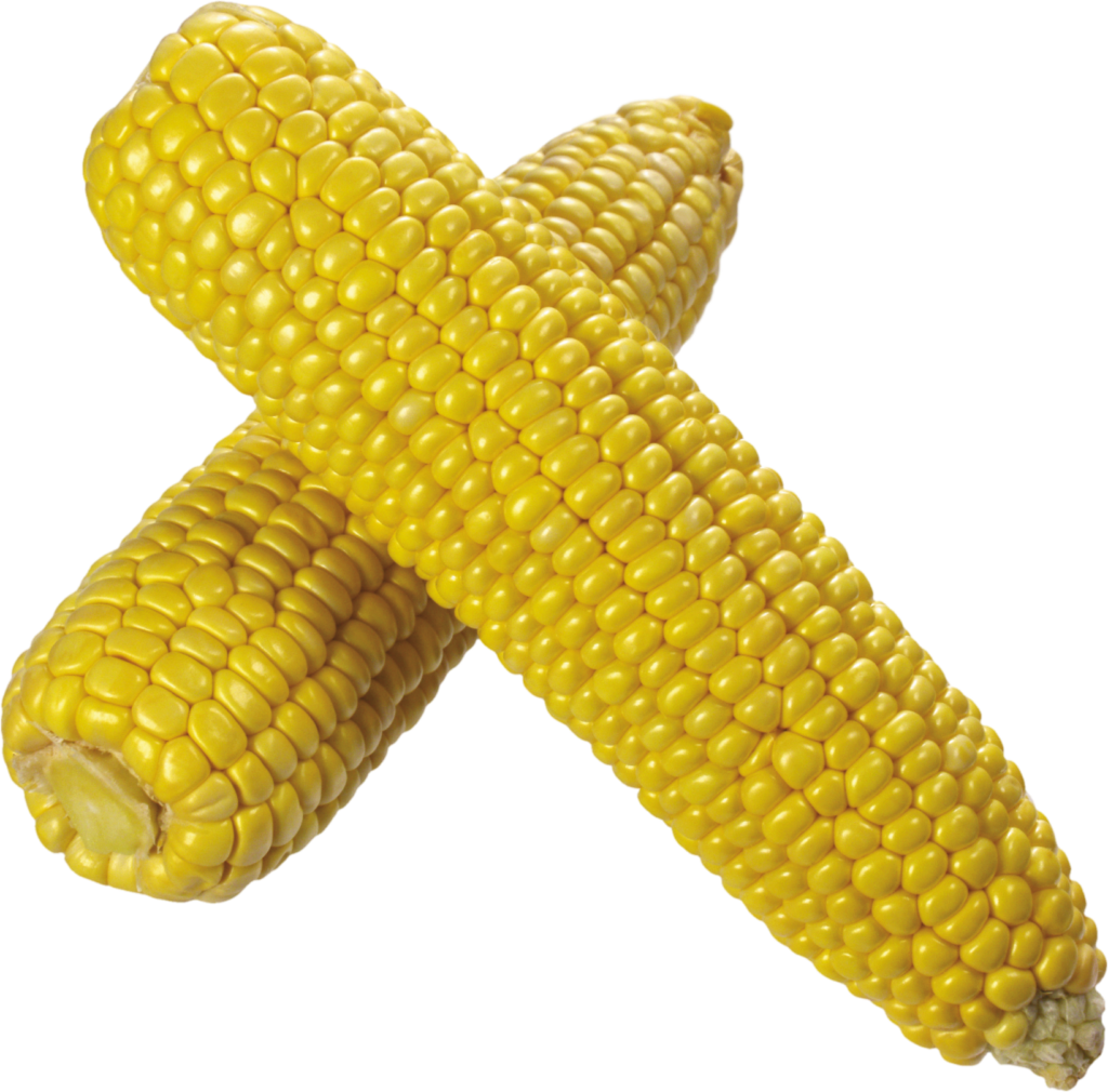 Transparent Corn Png