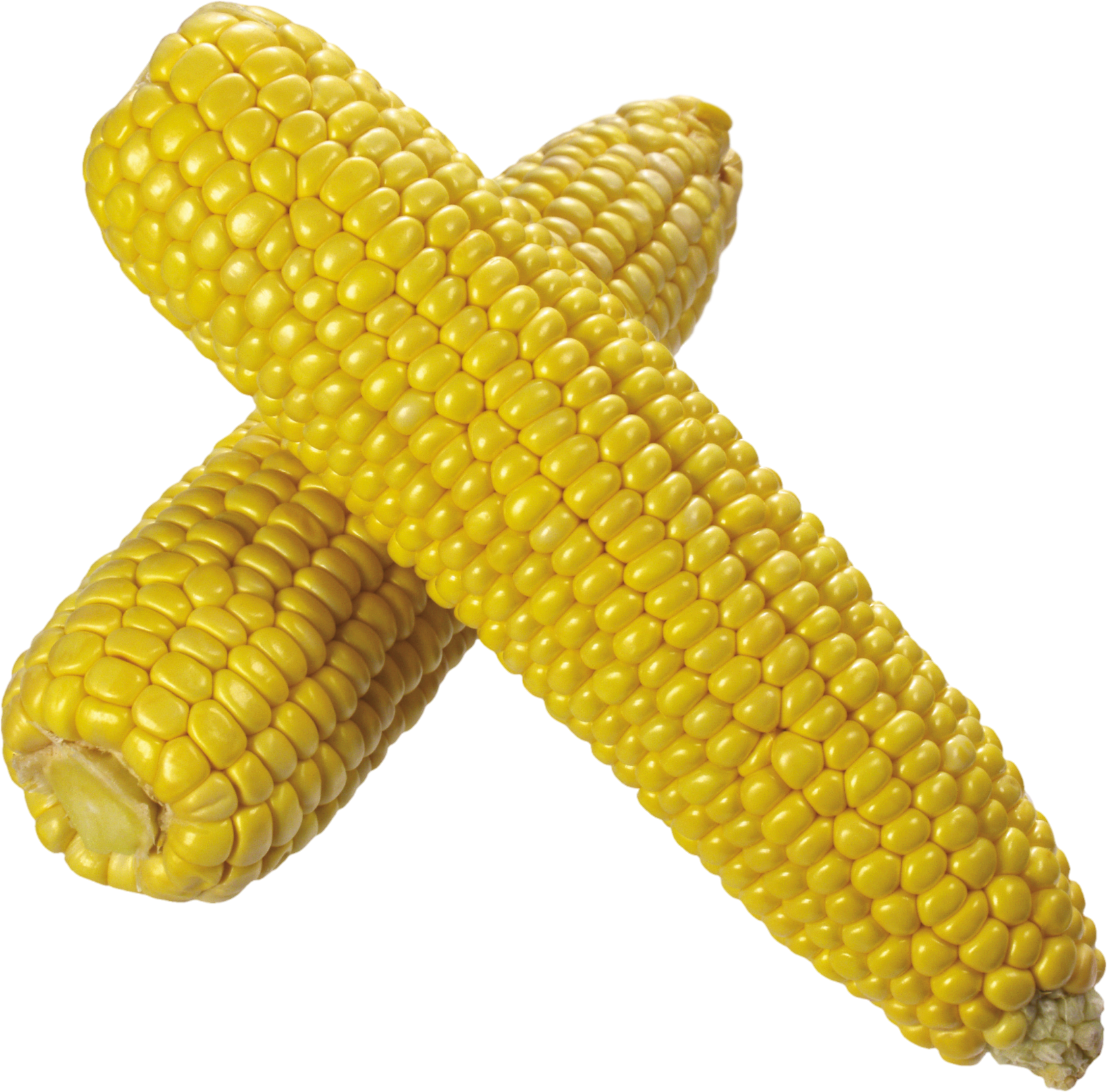 Corn-27