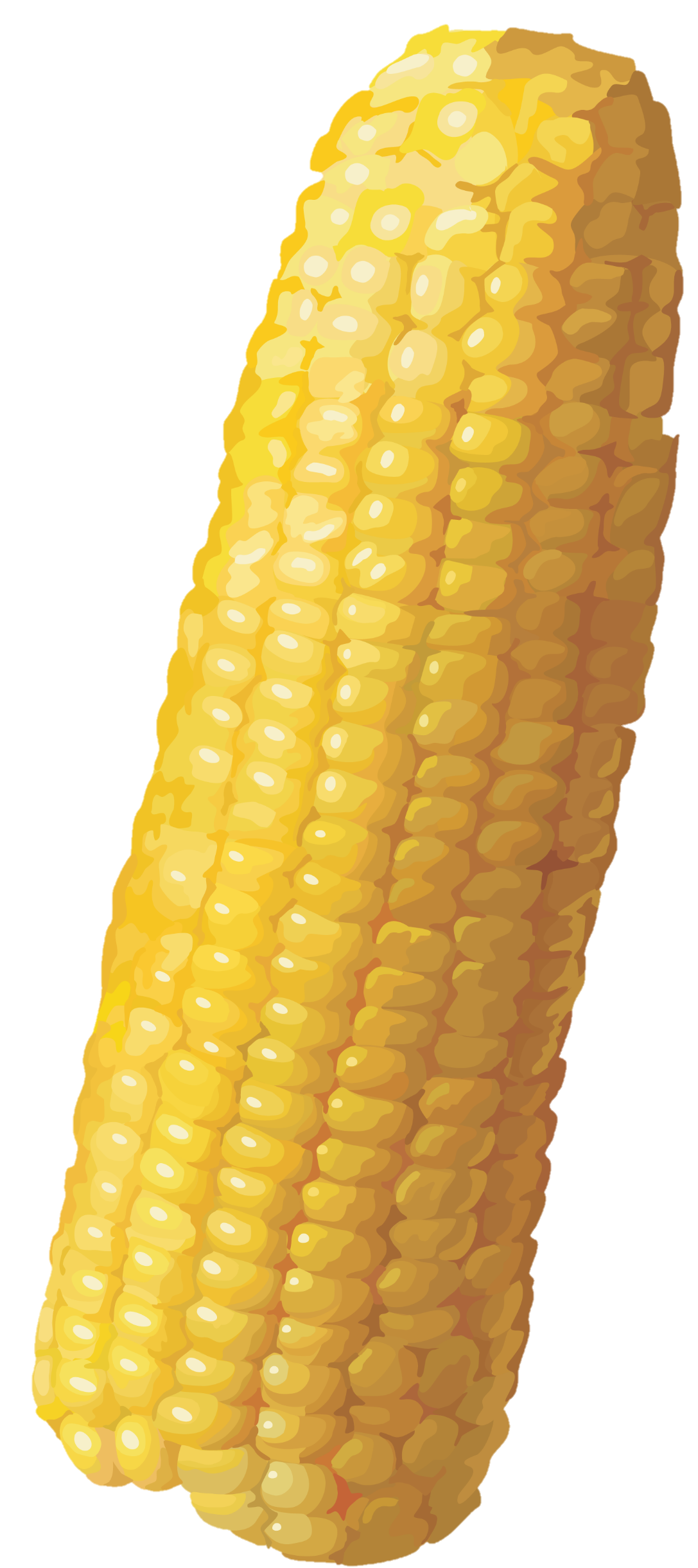 Corn-4