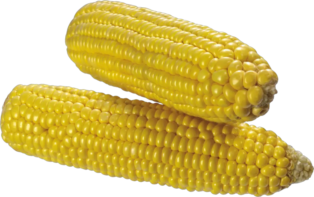 High Resolution Corn Png