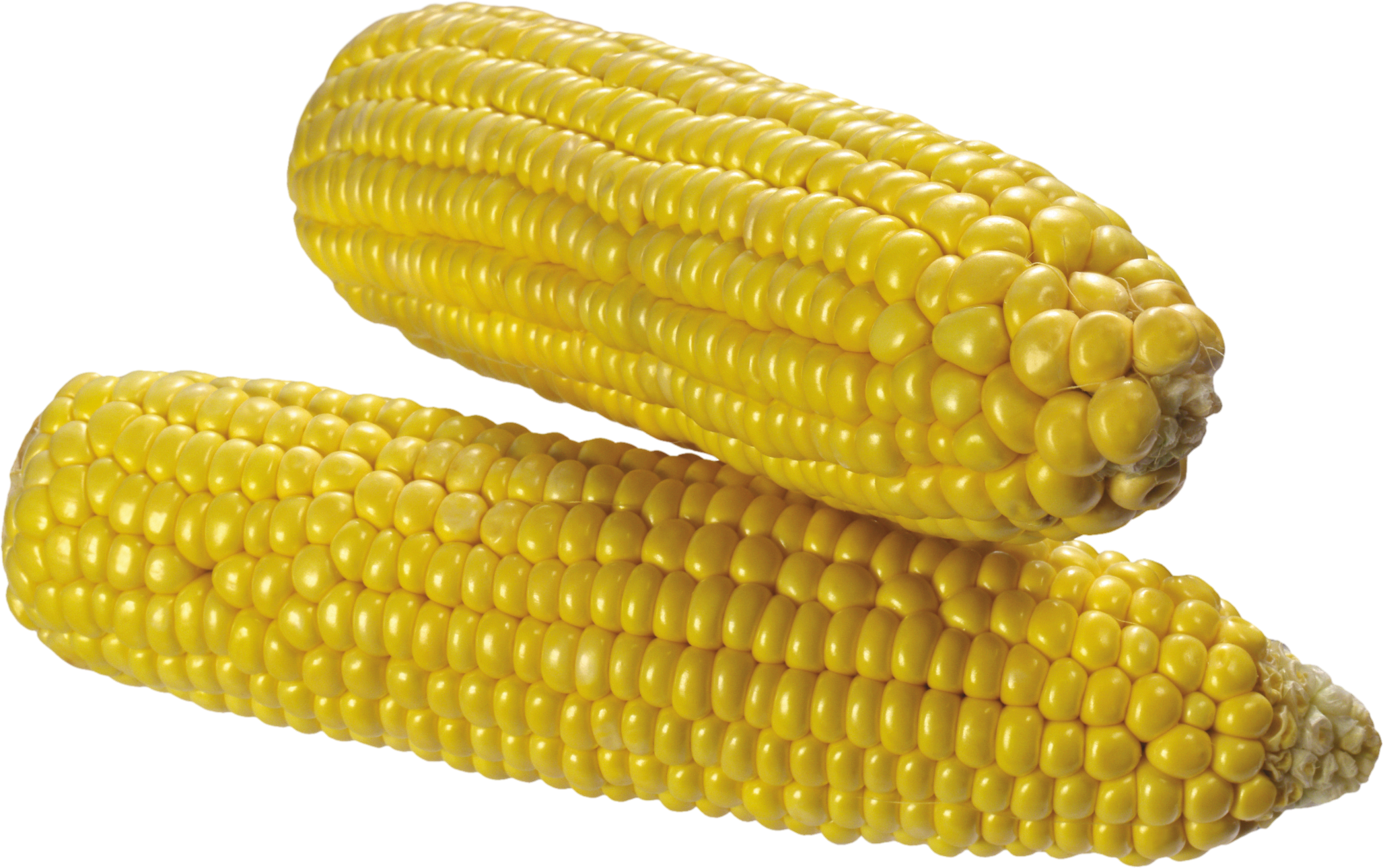 Corn-7