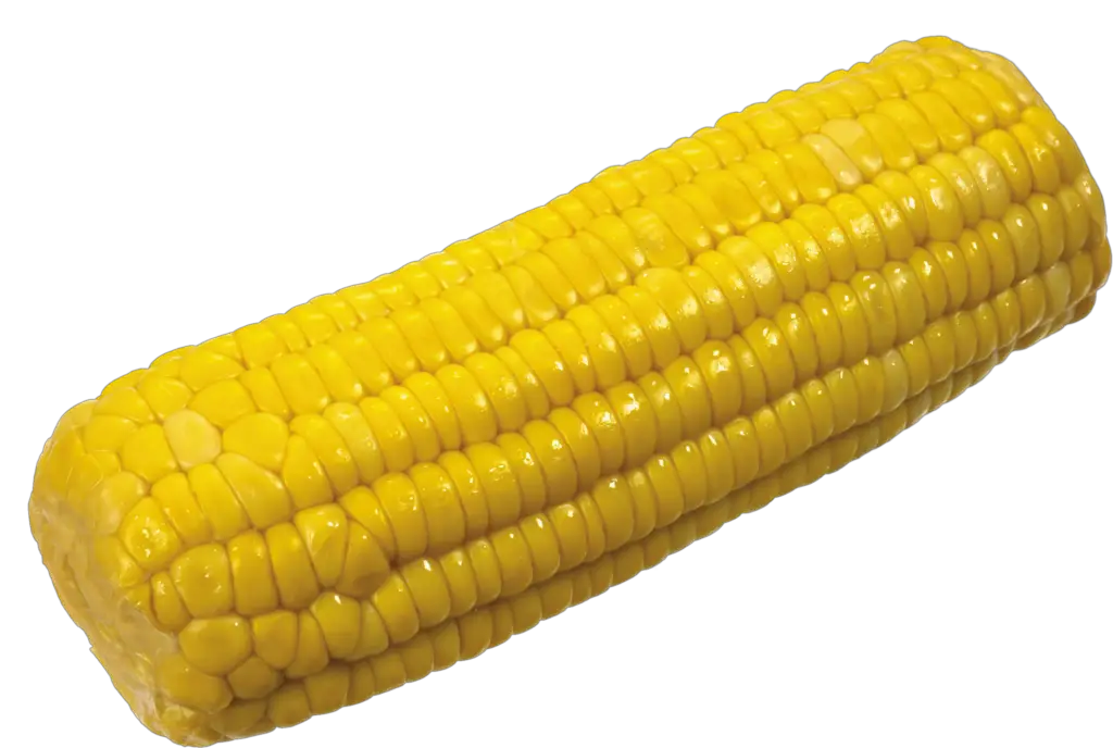 Transparent Corn Png