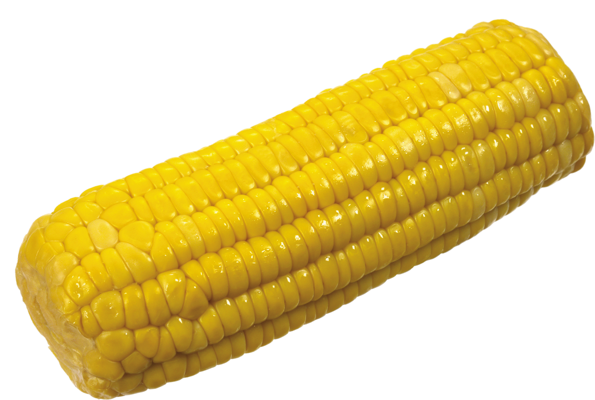 Corn-8