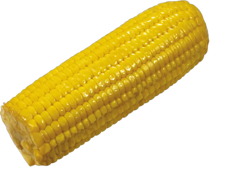 Corn Png Image