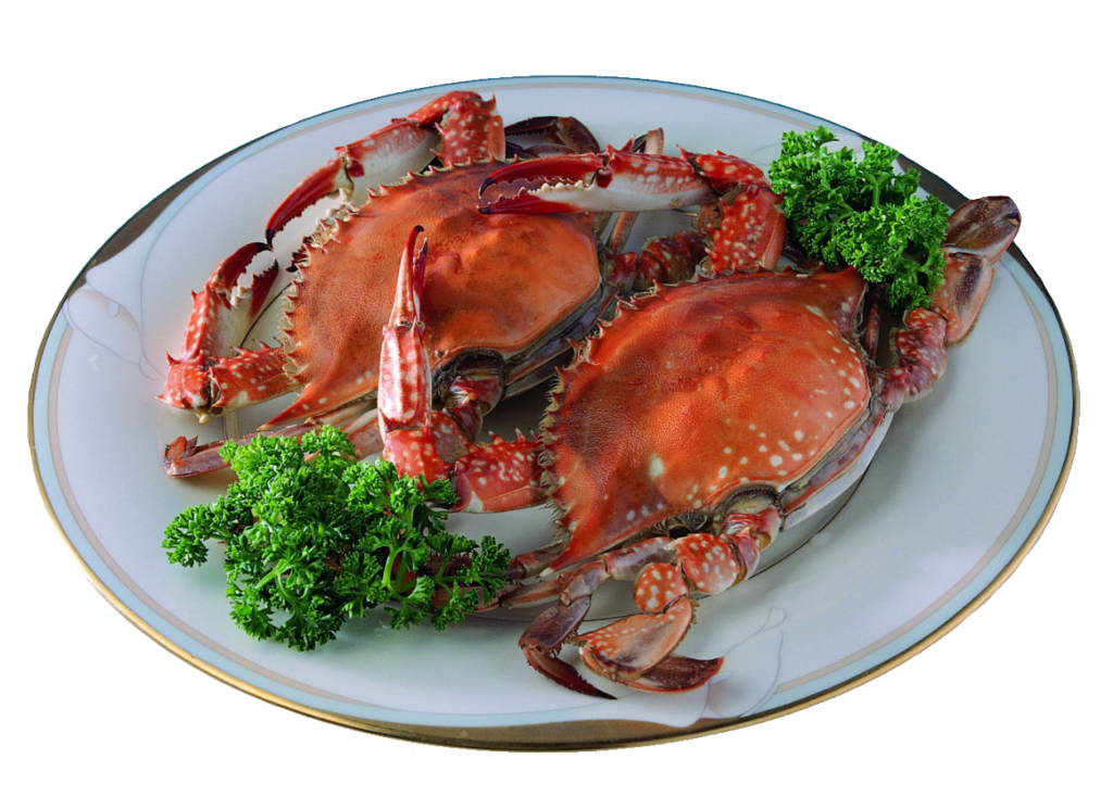 Crabs Food PNG