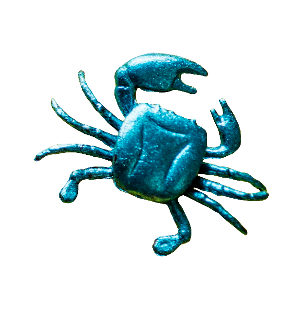 Blue Crab PNG