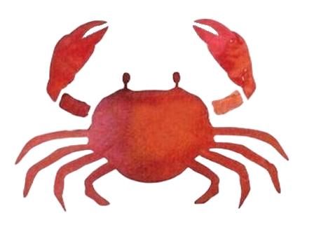 Crab119