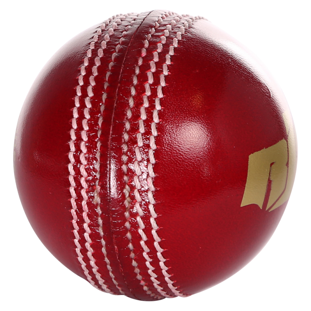 Cricket PNG Transparent Images Free Download - Pngfre