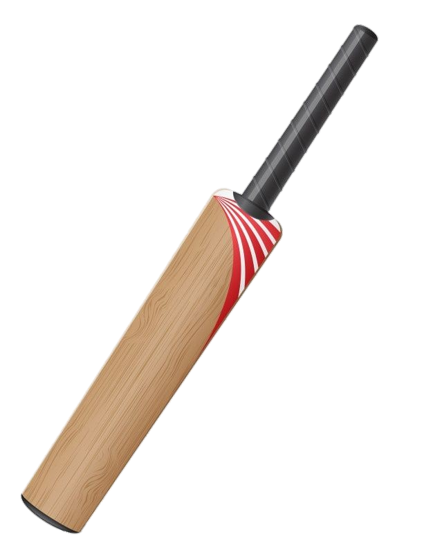 Animated Cricket bat Png