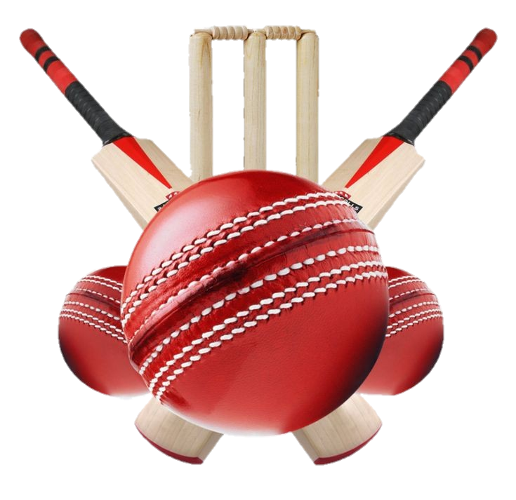 Cricket Png Transparent Image