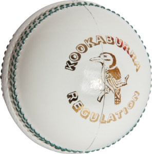 Cricket White ball Png