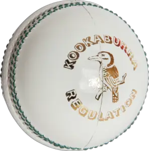 Cricket White ball Png