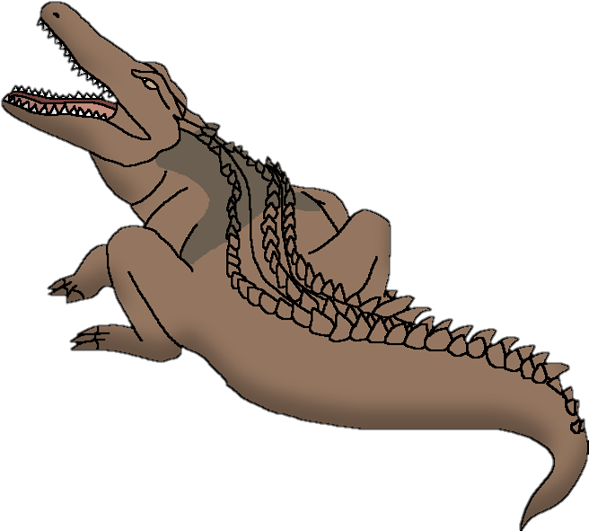 Crocodile-19
