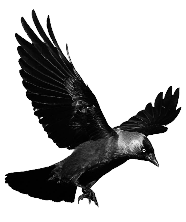 Crow-1