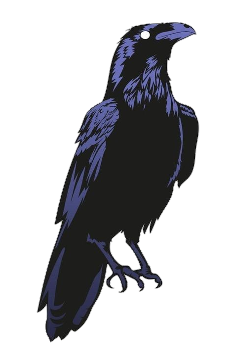 Crow Art png 