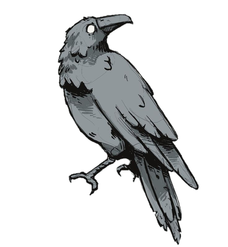 Crow Drawing Png