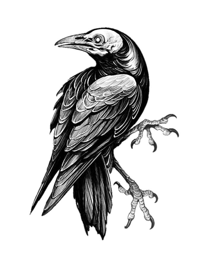 Crow Tattoo Png