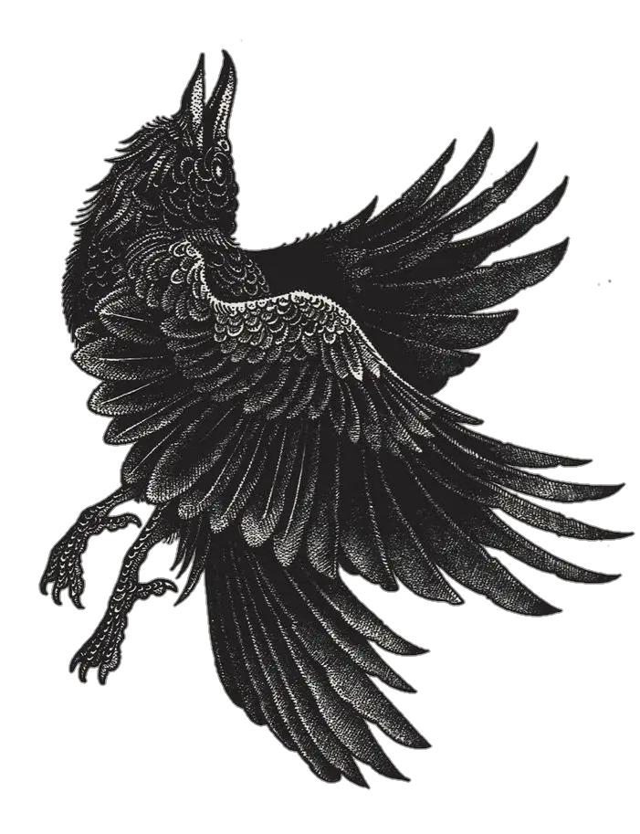 Crow Art png 