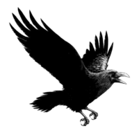 Crow Png Transparent Image